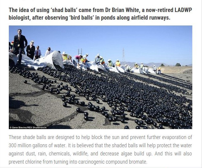California Is Dumping  Millions Of Plastic   Balls Into There Last Source Of Water,The   Reason Behind Is Mind Blowing !